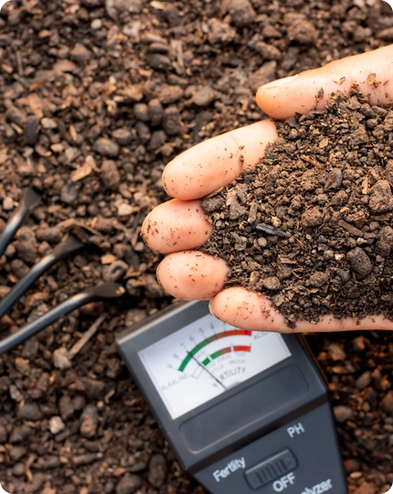 Professional Fertilization