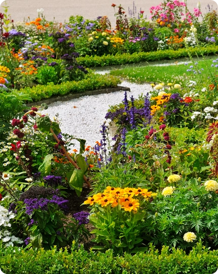 Our Specialized Landscaping Services